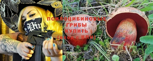 MDMA Богородицк
