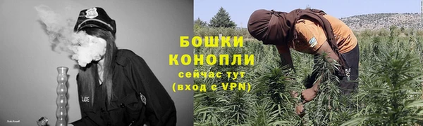 шишки Ельня