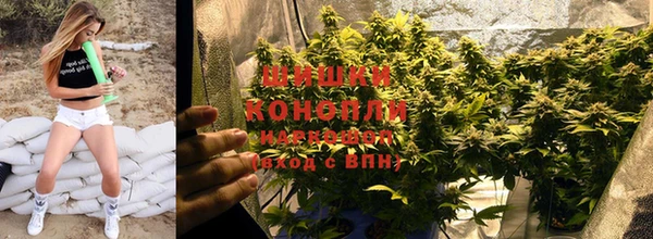 метадон Богданович
