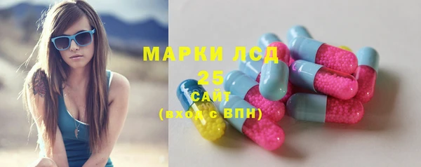 метадон Богданович