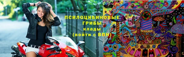 первитин Богородск