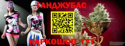 дживик Гай