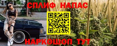 скорость Гатчина