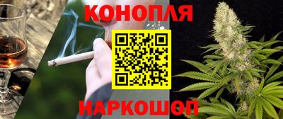 скорость Гатчина