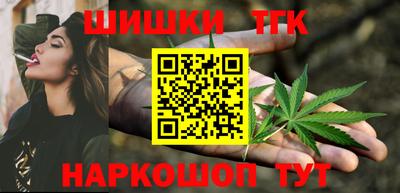 скорость Гатчина