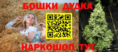 дживик Гай