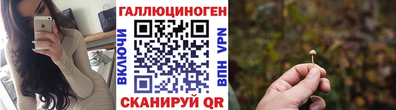 как найти закладки  Вязьма  Псилоцибиновые грибы Magic Shrooms 