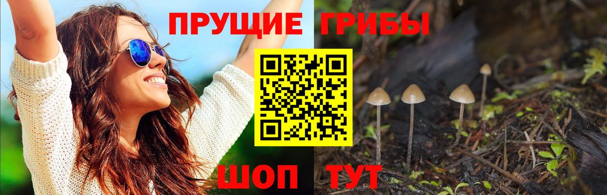 Галлюциногенные грибы Psilocybe  дарнет шоп  Вязьма  Вход с VPN 